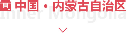 內(nèi)蒙古